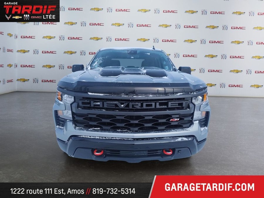 2024 CHEVROLET Silverado 1500 2024 Grey