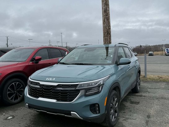 Kia Seltos EX 2024 2024 Bleu