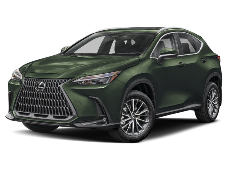 2025 Lexus NX NX 350h