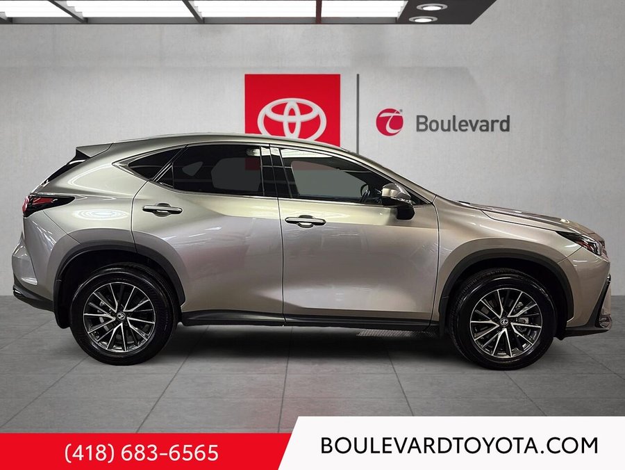2024 Lexus NX 2024 Silver