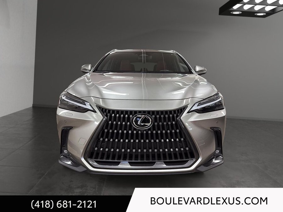 Lexus NX 2022 2022 Argent
