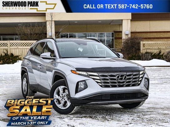 2024 Hyundai Tucson 2024 Grey