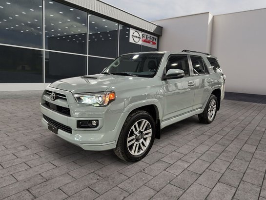 2022 Toyota 4Runner SR5 2022 Grey