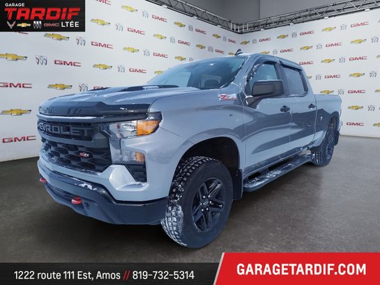 2024 CHEVROLET Silverado 1500 2024 Grey