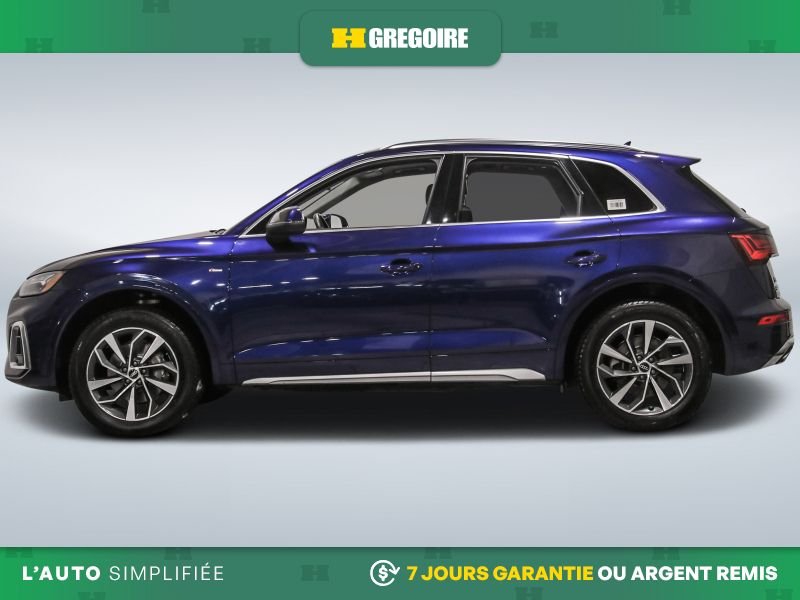 2023 Audi Q5 2023 Blue