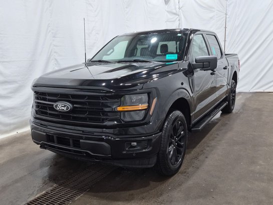 2025 Ford F-150 2025 Black