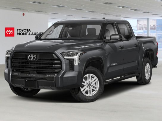 Toyota Tundra 2026 2026 Gris magnétique métallisé