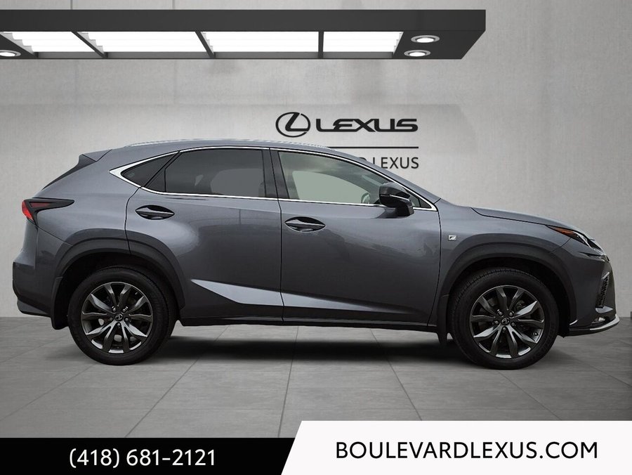 Lexus NX 2020 2020 Gris