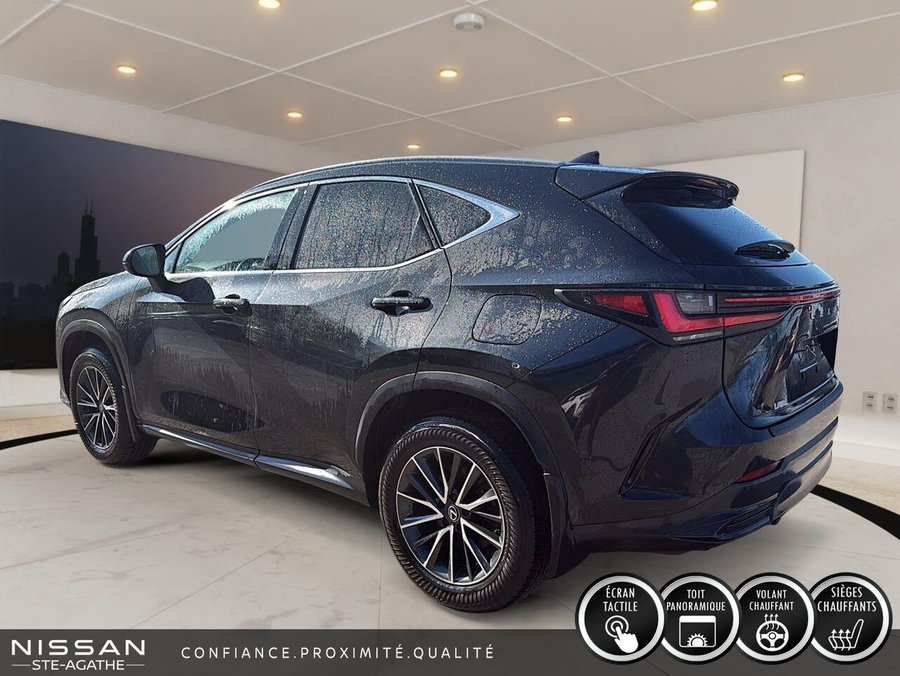 Lexus NX 2025 2025 Vert