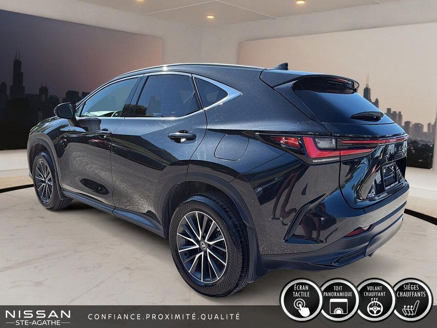 Lexus NX NX 350 TI 2025 Vert