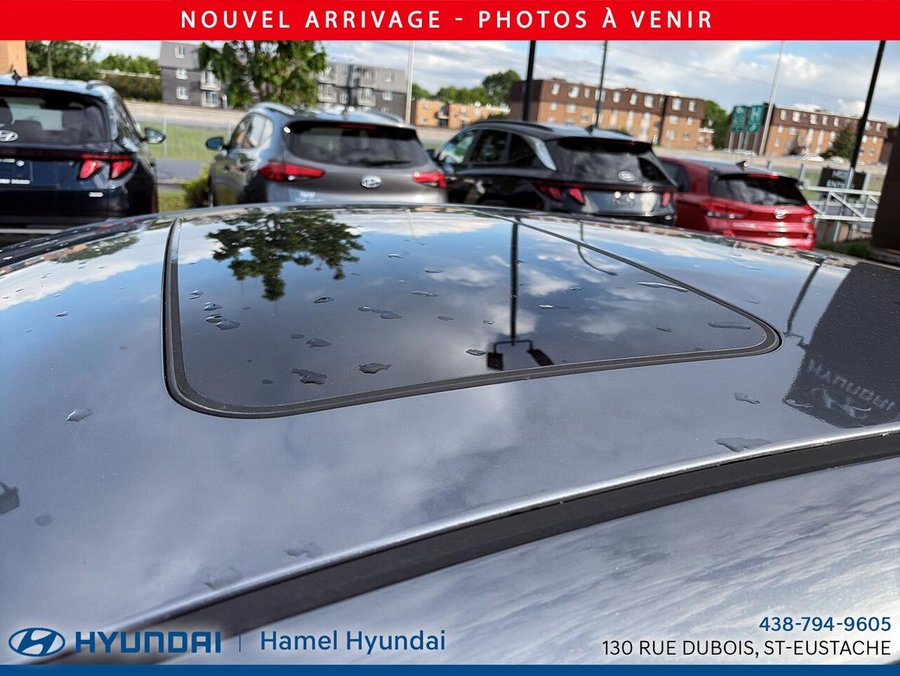 Hyundai Elantra 2019 2019 Gris