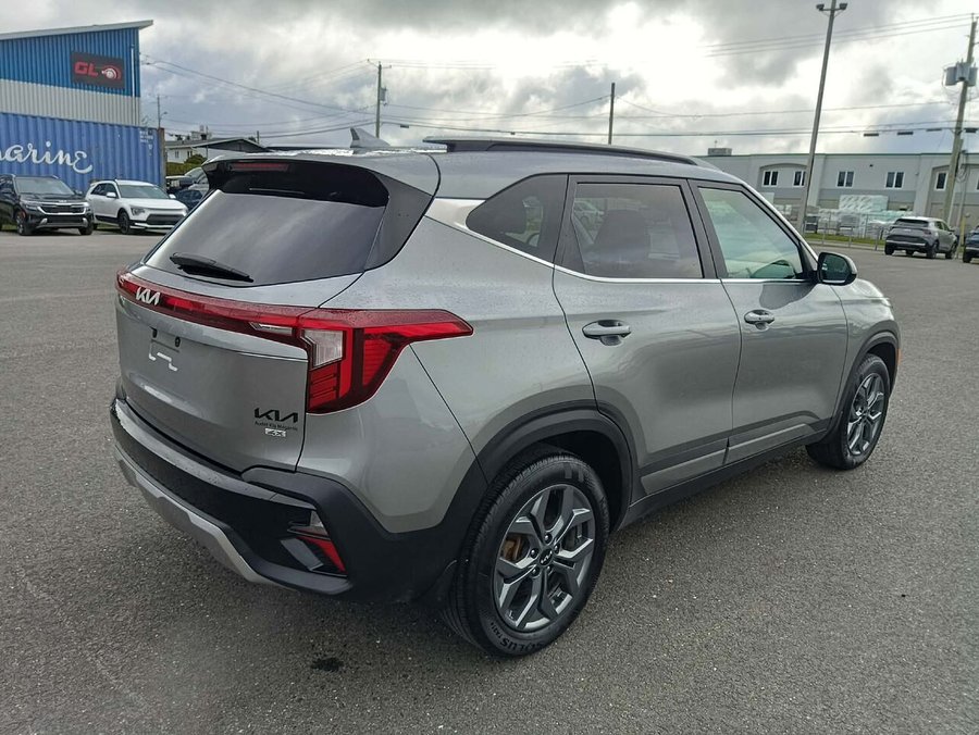 Kia Seltos 2024 2024 Gris
