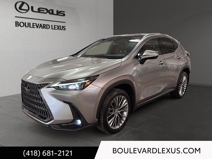 Lexus NX 2022 2022 Argent