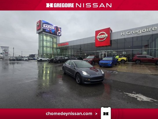 2019 Tesla Model 3 2019 Grey