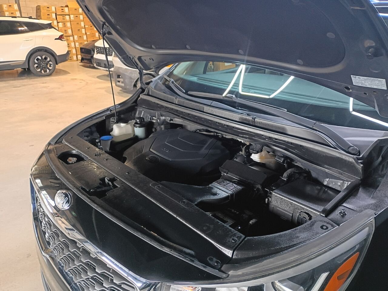 Kia Sedona 2019 Noir Blainville - photo #33