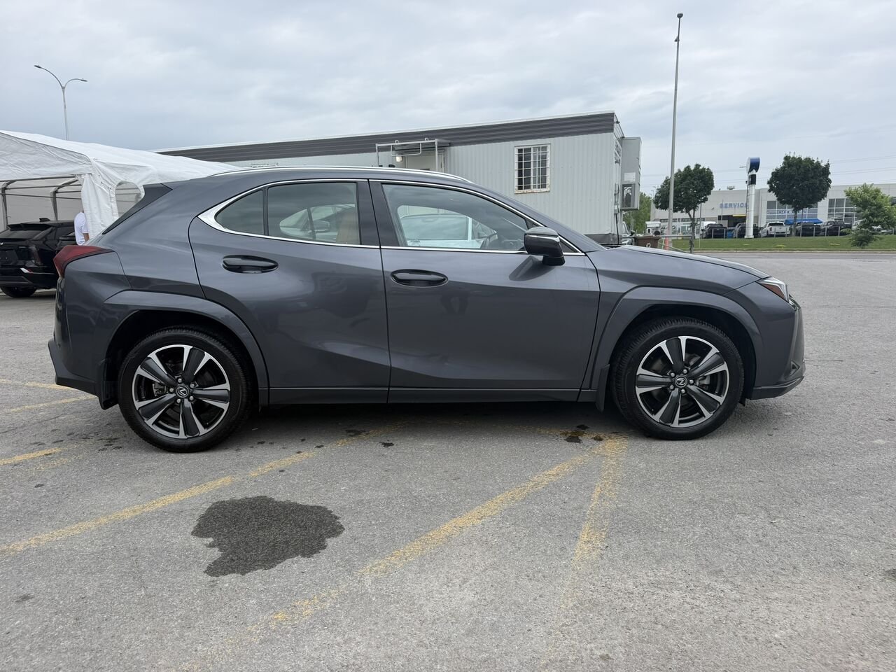 2025 Lexus UX UX 300h CAWD Beige Laval - photo #9
