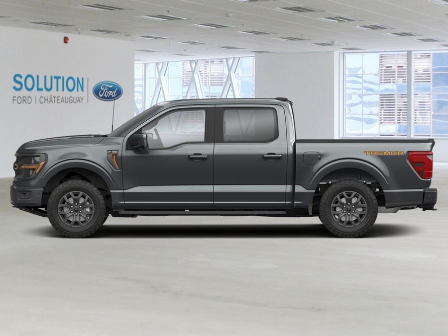 Ford F-150 2026 2026 Gris