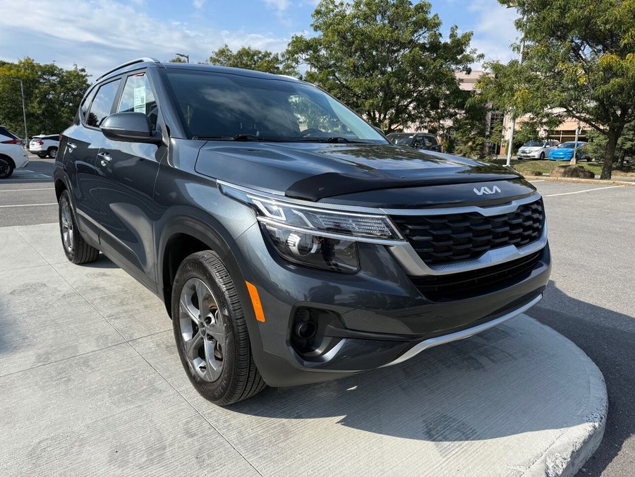 Kia Seltos 2023 Gris