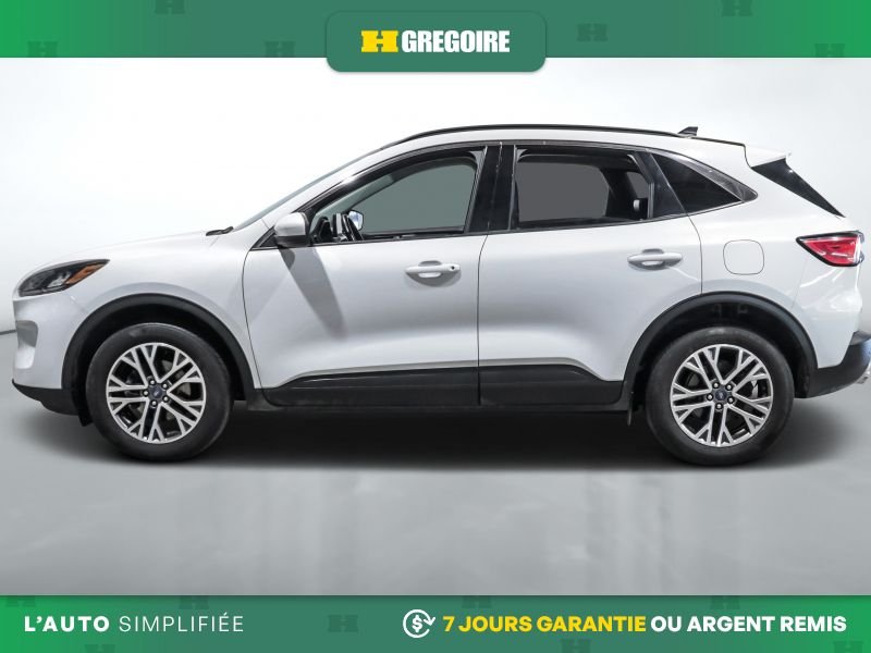 2021 Ford Escape 2021 White