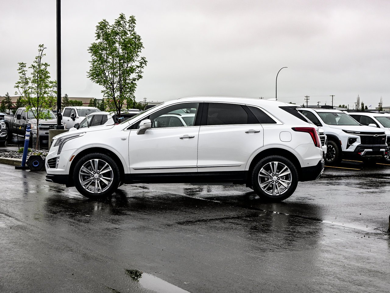2024 Cadillac XT5 AWD 4dr Premium Luxury White Sherwood Park - photo #10
