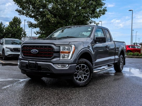 Ford F-150 2021 2021 Gray