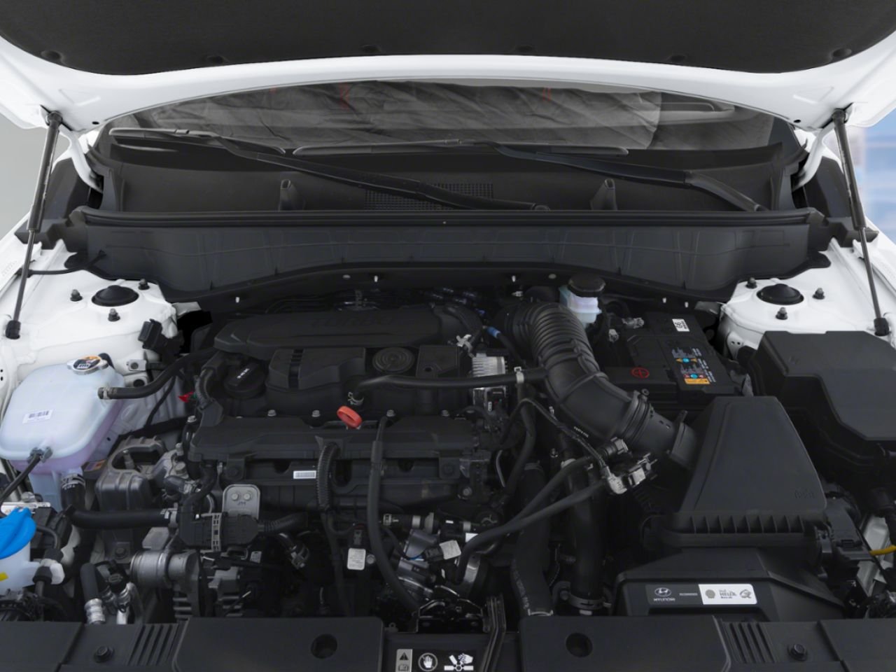 Hyundai Kona 2024 Vert Gatineau - photo #6