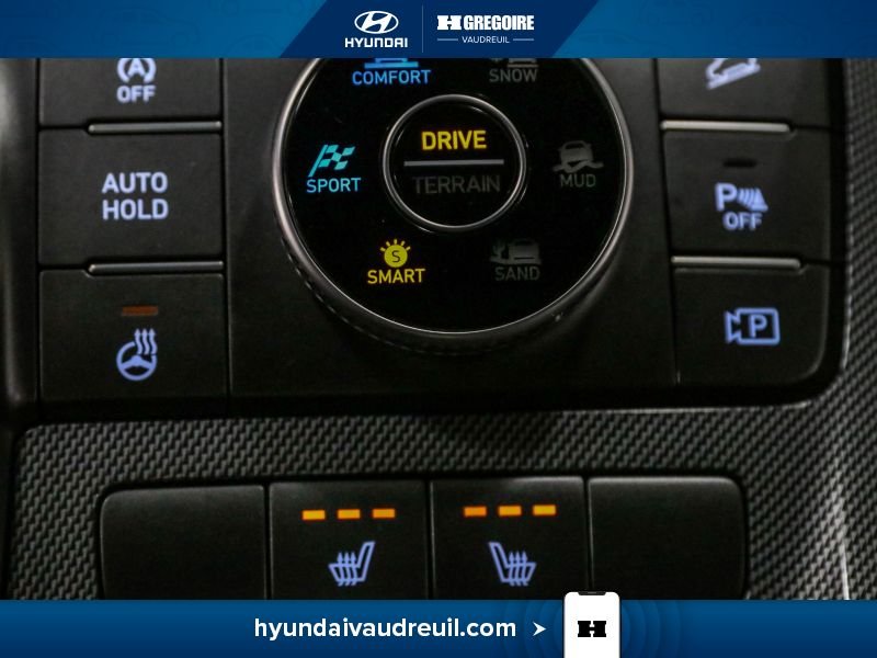 Hyundai Santa Fe 2023 Gris Blainville - photo #32