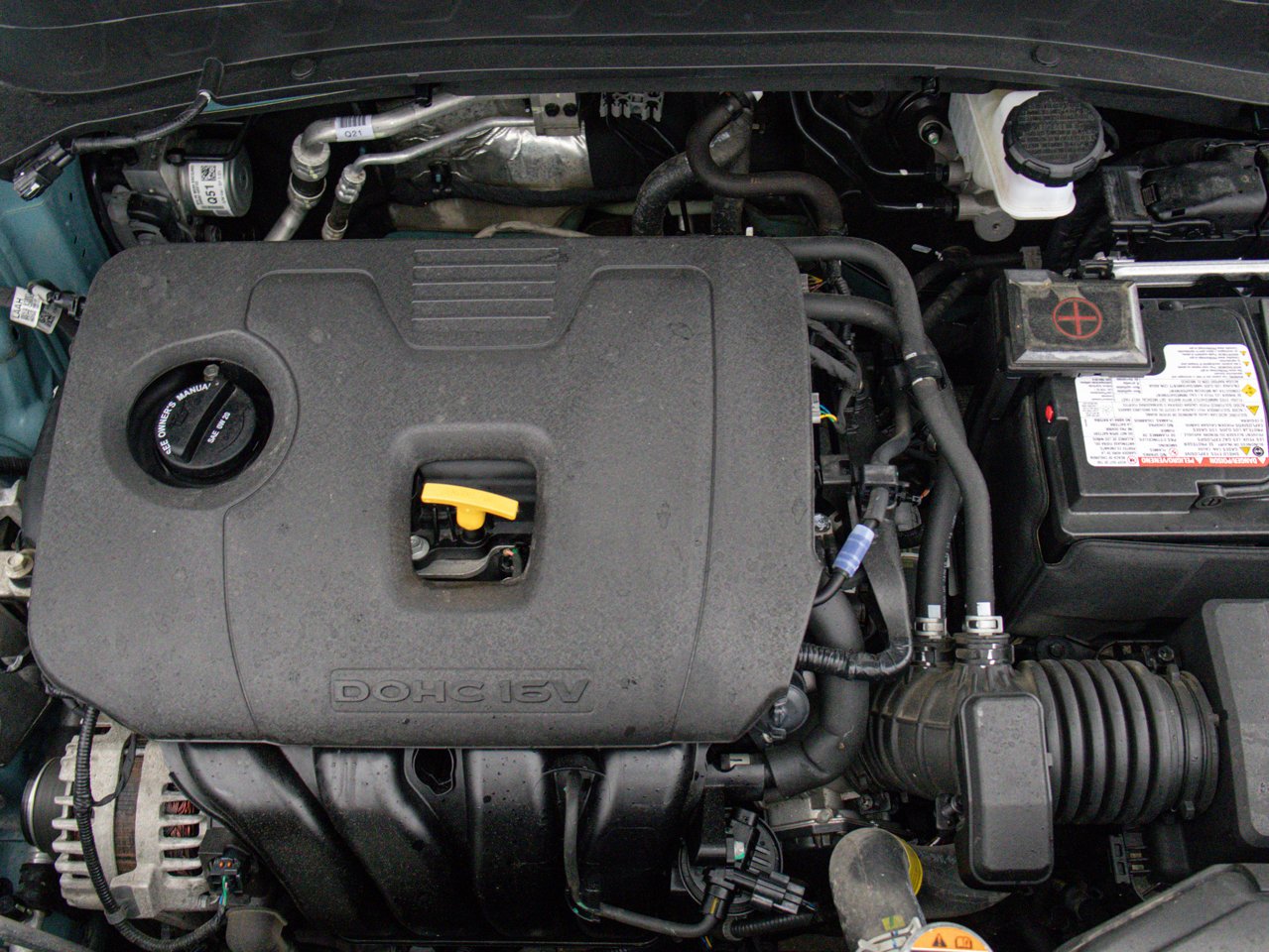2025 Kia Seltos EX AWD Blue Sherwood Park - photo #15