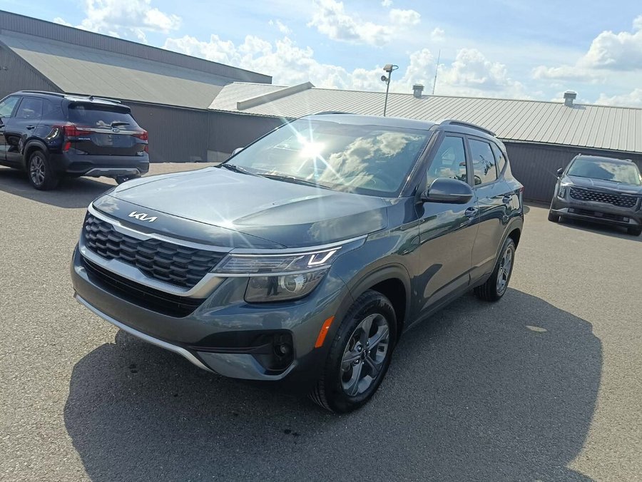 Kia Seltos 2023 2023 Gris