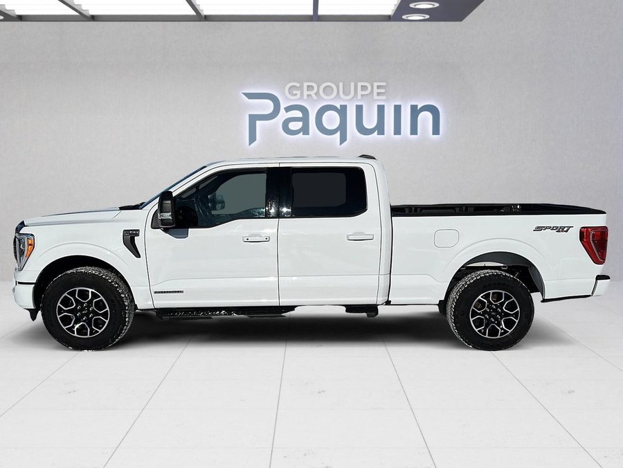 2023 Ford F-150 2023 White
