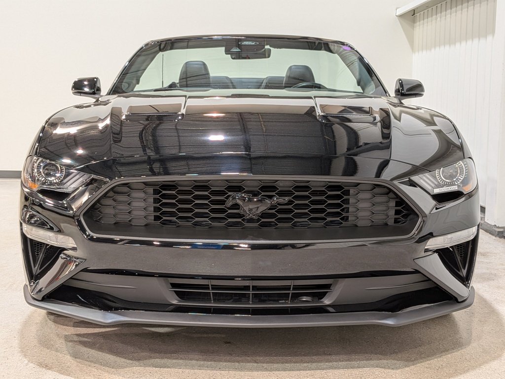 Ford Mustang 2023 Noir Val-David - photo #3