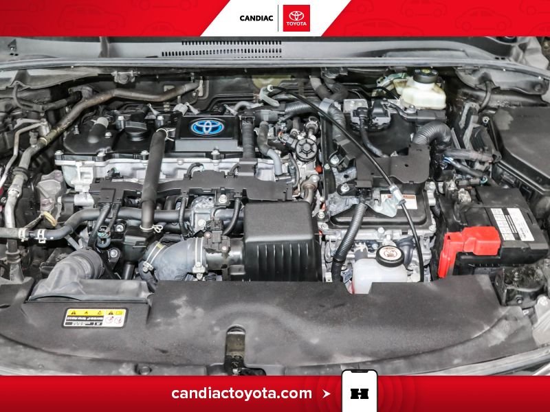 2024 Toyota Corolla Black Laval - photo #35