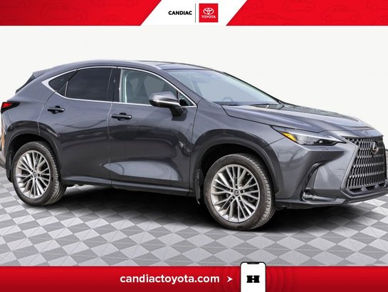 Lexus NX 2023 2023 Gris
