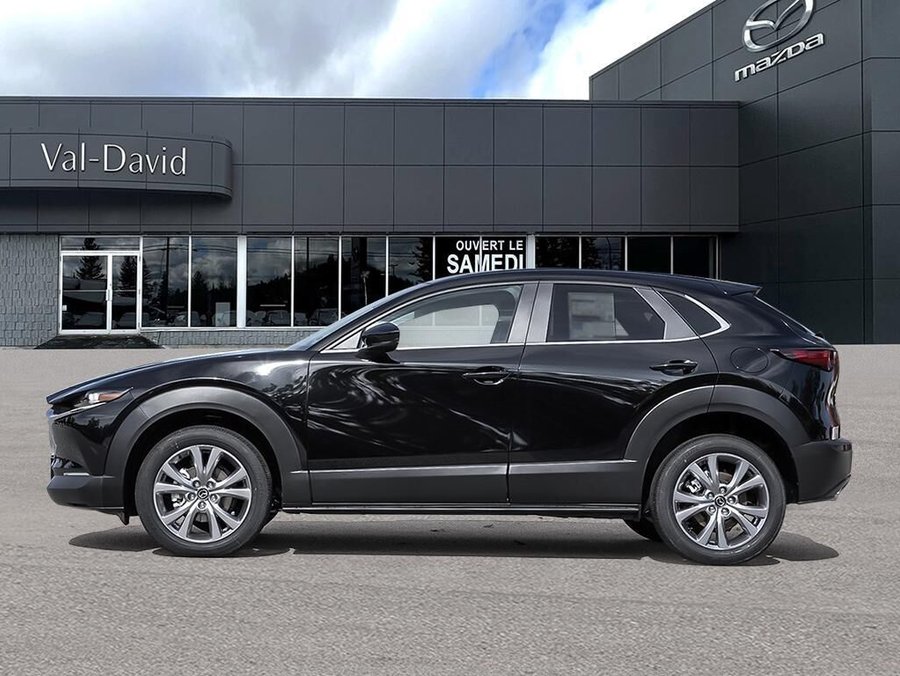 2025 Mazda CX-30 2025 Jet Black Mica