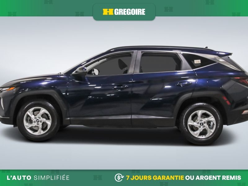 2024 Hyundai Tucson 2024 Blue