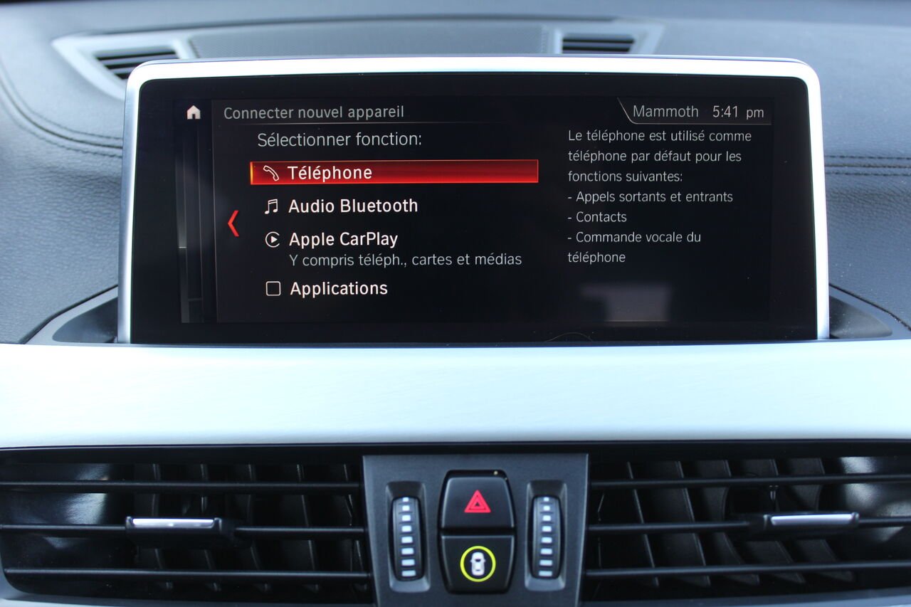 BMW X1 VIN: WBXJG9C02M5T13773 2021 Noir Sainte-Rose - photo #20