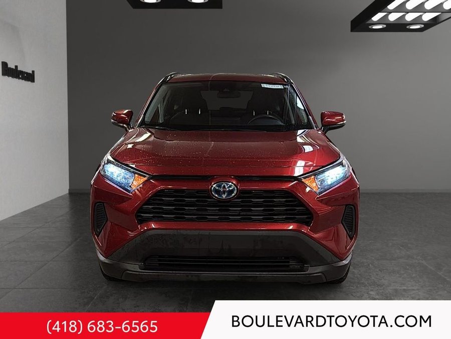 Toyota RAV4 2020 2020 Rouge