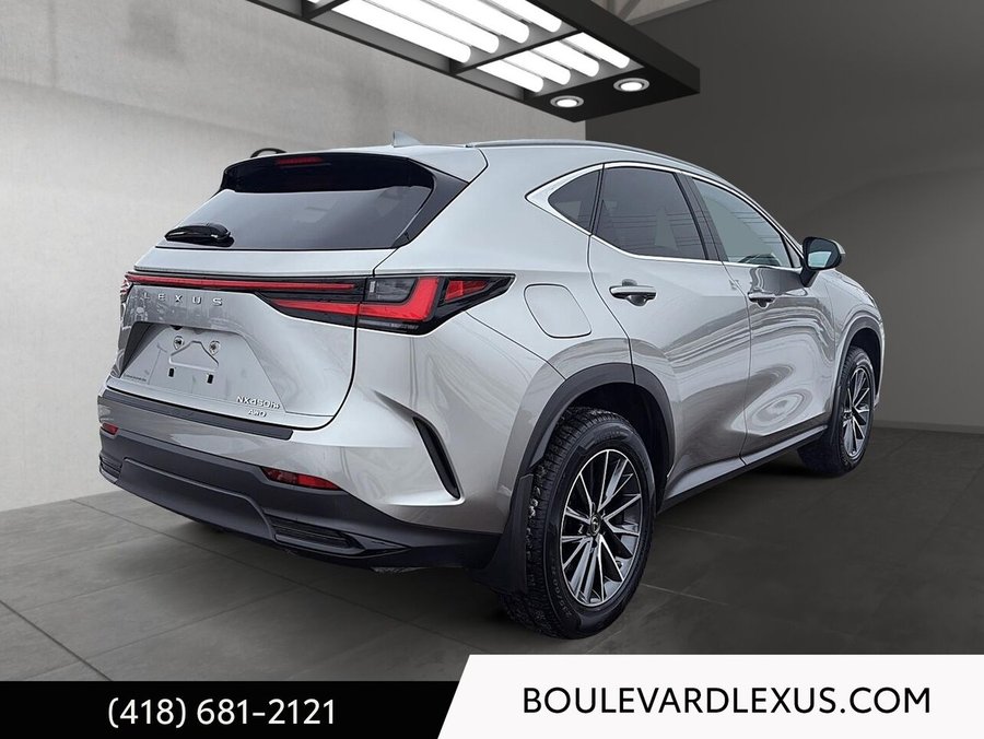 Lexus NX 2023 2023 Argent