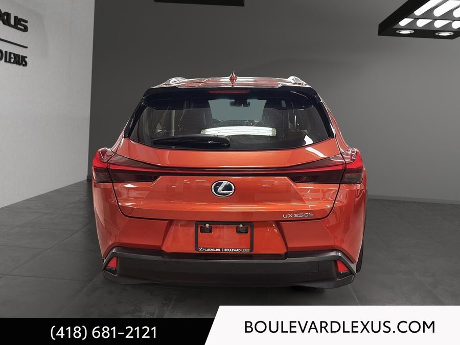 Lexus UX 2020 2020 Orange