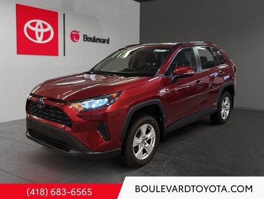 Toyota RAV4 2020 2020 Rouge