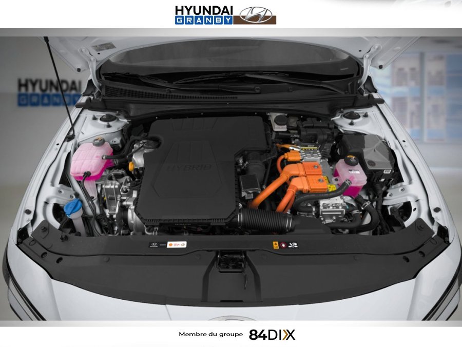 HYUNDAI Elantra hybride 2026 2026 Gris écotronique