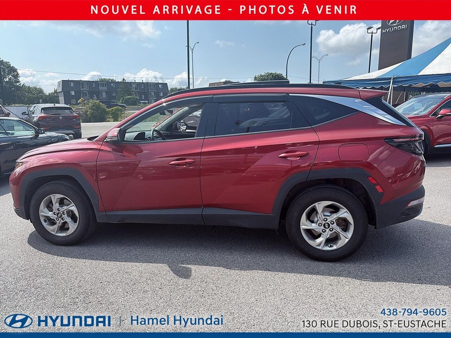 Hyundai Tucson 2024 2024 Rouge