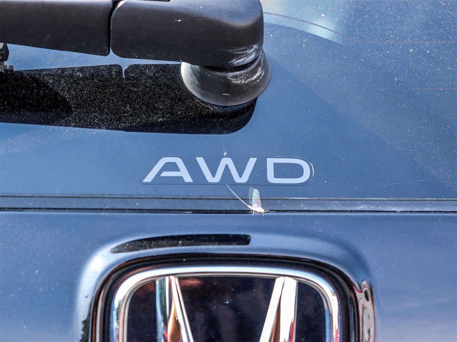 2024 Honda CR-V EX-L Ottawa & Gatineau - photo #20