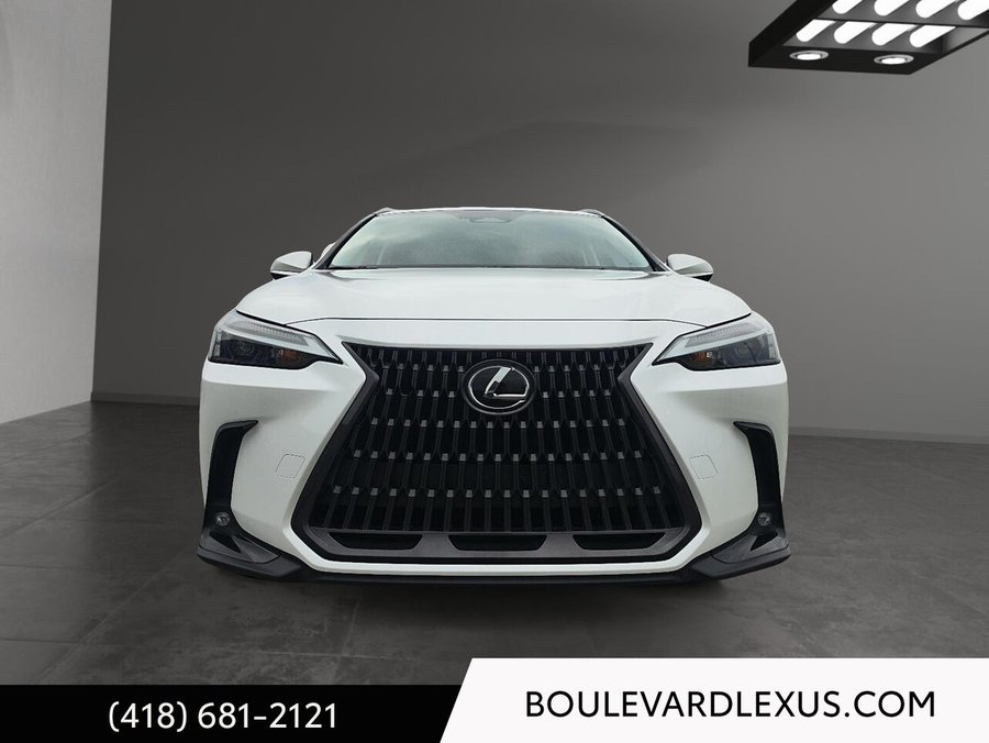 2022 Lexus NX 2022 White