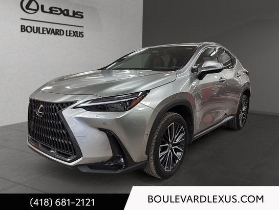 Lexus NX 2022 2022 Argent
