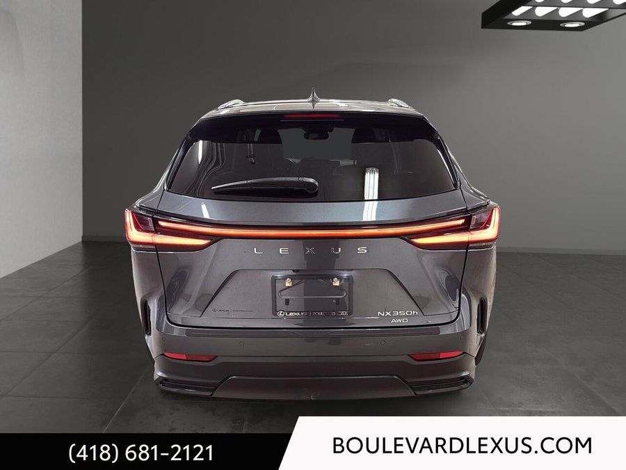 Lexus NX 2024 2024 Gris