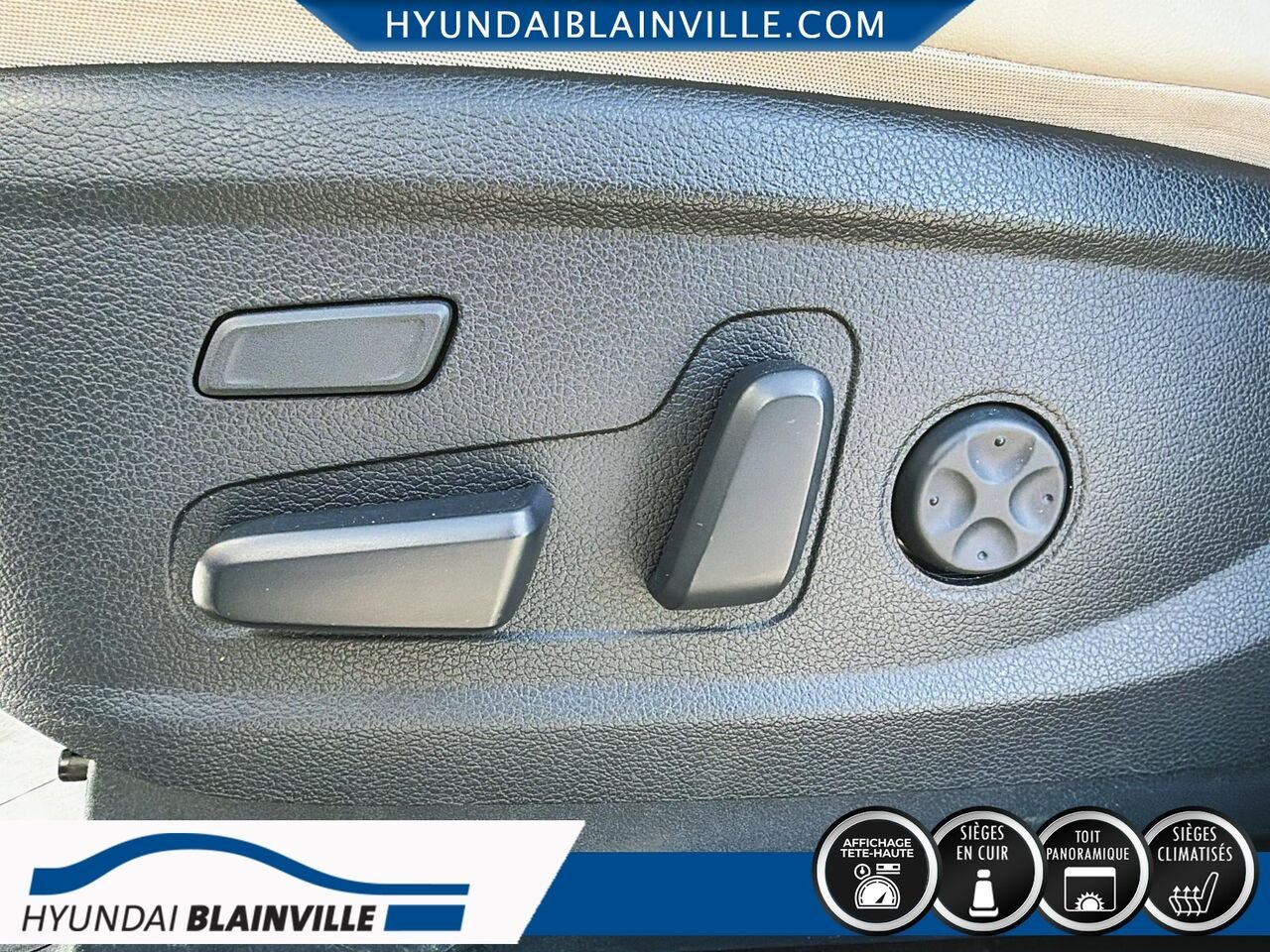Hyundai Palisade 2021 Bleu Blainville - photo #9