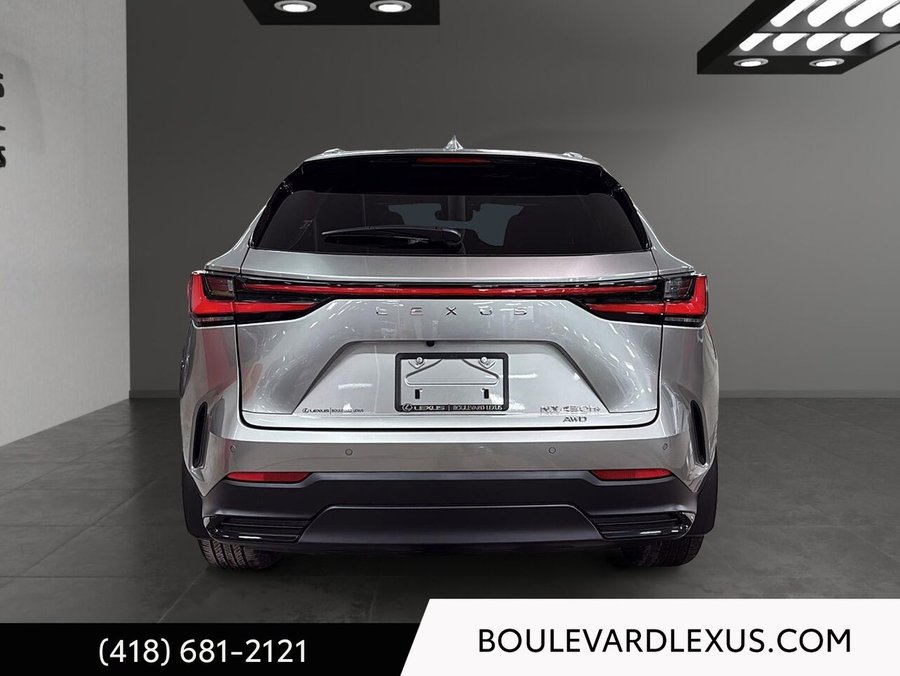 Lexus NX 2022 2022 Argent
