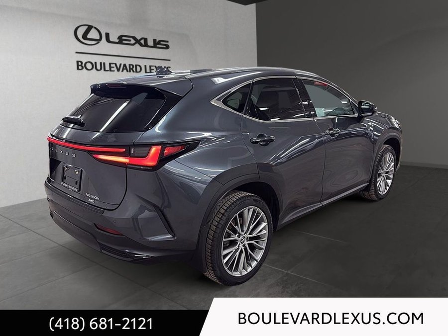 Lexus NX 2024 2024 Gris
