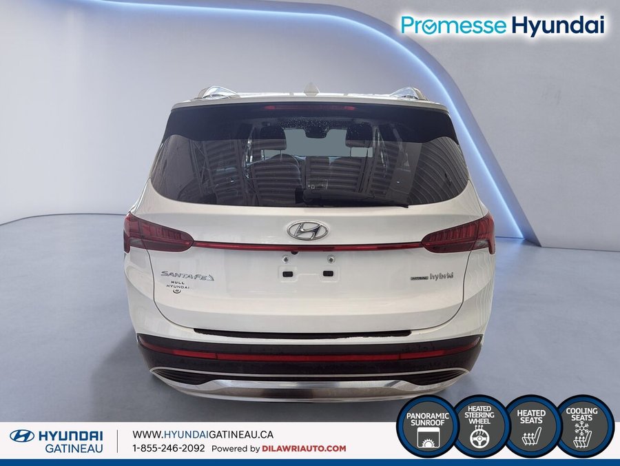 Hyundai Santa Fe Hybrid 2023 2023 Blanc